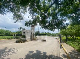  Land for sale in Crimson Beach side, Lapu-Lapu City, Lapu-Lapu City