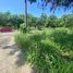  Land for sale in Crimson Beach side, Lapu-Lapu City, Lapu-Lapu City