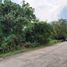  Land for sale in Nasugbu, Calabarzon, Nasugbu