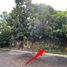  Land for sale in Yap-Sandiego Ancestral House, Cebu City, Cebu City