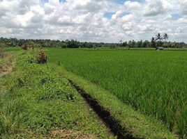  Grundstück zu verkaufen in Tabanan, Bali, Marga, Tabanan