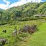  Land for sale in Barbosa, Antioquia, Barbosa