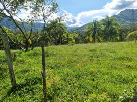  Terreno (Parcela) en venta en Barbosa, Antioquia, Barbosa