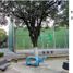 4 Schlafzimmer Villa zu verkaufen in Miguel Hidalgo, Mexico City, Miguel Hidalgo