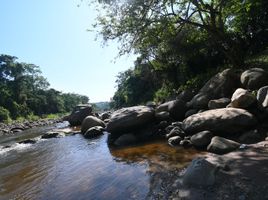  Terreno (Parcela) en venta en San Martín, Morales, San Martín, San Martín