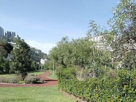 3 Schlafzimmer Appartement zu verkaufen in Naucalpan De Juarez, Mexico, Naucalpan De Juarez