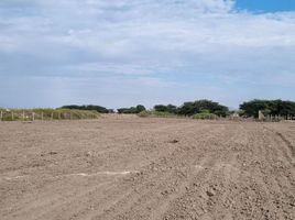  Terrain for sale in Chiclayo, Lambayeque, Picsi, Chiclayo