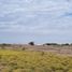  Terrain for sale in Chiclayo, Lambayeque, Picsi, Chiclayo