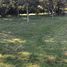  Terreno (Parcela) en venta en Biobío, Quillego, Biobío, Biobío