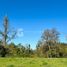  Terreno (Parcela) en venta en Los Lagos, Osorno, Osorno, Los Lagos
