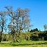  Terreno (Parcela) en venta en Los Lagos, Osorno, Osorno, Los Lagos