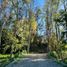  Terreno (Parcela) en venta en Los Lagos, Osorno, Osorno, Los Lagos