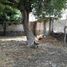 3 Schlafzimmer Villa zu vermieten in Temixco, Morelos, Temixco