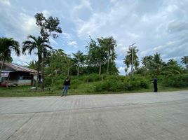  Land for sale in Northern Mindanao, Alubijid, Misamis Oriental, Northern Mindanao