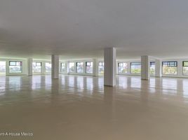 780 m2 Office for rent in Miguel Hidalgo, Mexico City, Miguel Hidalgo