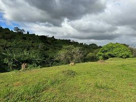  Land for sale in Silang, Cavite, Silang