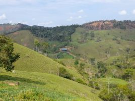  Villa en venta en Vegachi, Antioquia, Vegachi