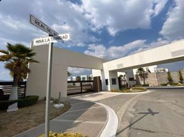  Terreno (Parcela) en venta en San Agustin Tlaxiaca, Hidalgo, San Agustin Tlaxiaca