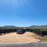  Land for sale in Chile, Marchihue, Cardenal Caro, Libertador General Bernardo Ohiggins, Chile