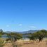  Land for sale in Chile, Marchihue, Cardenal Caro, Libertador General Bernardo Ohiggins, Chile