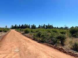  Land for sale in Chile, Marchihue, Cardenal Caro, Libertador General Bernardo Ohiggins, Chile