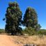  Land for sale in Chile, Marchihue, Cardenal Caro, Libertador General Bernardo Ohiggins, Chile