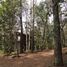  Land for sale in Chile, Pucon, Cautin, Araucania, Chile