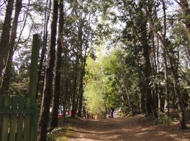  Land for sale in Chile, Pucon, Cautin, Araucania, Chile