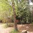  Land for sale in Chile, Pucon, Cautin, Araucania, Chile