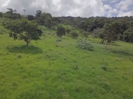  Land for sale in Nanegalito, Quito, Nanegalito