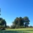  Land for sale in Chile, Villarrica, Cautin, Araucania, Chile