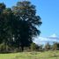  Land for sale in Chile, Villarrica, Cautin, Araucania, Chile