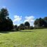  Land for sale in Chile, Villarrica, Cautin, Araucania, Chile