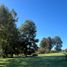  Land for sale in Chile, Villarrica, Cautin, Araucania, Chile