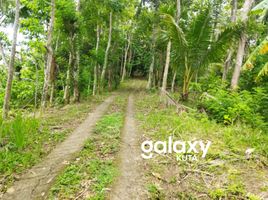 Land for sale in Selemadeg, Bali, Selemadeg