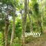  Land for sale in Selemadeg, Bali, Selemadeg