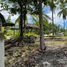  Land for sale in Bohol, Central Visayas, Panglao, Bohol