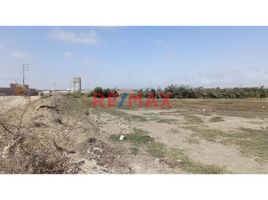  Terreno (Parcela) en venta en Monsefu, Chiclayo, Monsefu