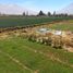  Land for sale in Characato, Arequipa, Characato, Arequipa, Arequipa