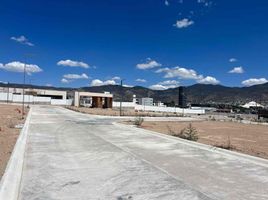  Grundstück zu verkaufen in Pachuca De Soto, Hidalgo, Pachuca De Soto