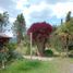  Land for sale in Tumbaco, Pichincha, Tumbaco