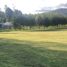  Terreno (Parcela) en venta en Araucanía, Villarrica, Cautín, Araucanía
