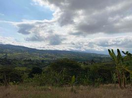  Terreno (Parcela) en venta en Dagua, Valle Del Cauca, Dagua