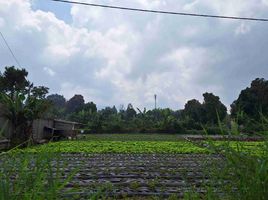  Grundstück zu verkaufen in Bandung, West Jawa, Parongpong, Bandung