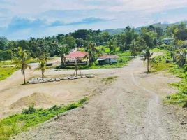  Grundstück zu verkaufen in Cebu, Central Visayas, Consolacion, Cebu