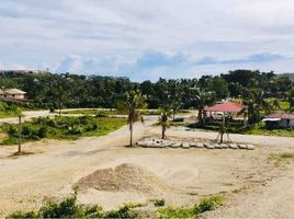  Land for sale in Central Visayas, Consolacion, Cebu, Central Visayas