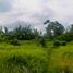  Land for sale in Cavite, Calabarzon, Tagaytay City, Cavite