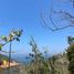  Land for sale in Acapulco, Guerrero, Acapulco, Guerrero
