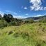  Grundstück zu verkaufen in El Carmen De Viboral, Antioquia, El Carmen De Viboral