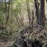  Land for sale in Araucania, Pucon, Cautin, Araucania